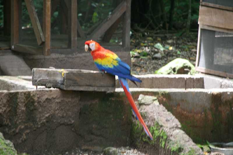 Mexico & Guatemala 2010 - 0858